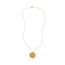 Product image of Alighieri Il Leone Medallion gold-plated necklace