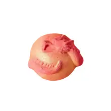 Product image of Lush Inner Dragon Bath Bomb