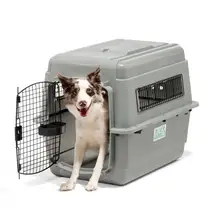 Product image of Stay Safe in the Skies