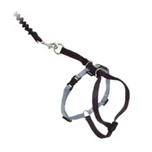 Product image of PetSafe Come With Me Kitty Cat Harness