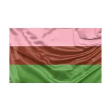 Product image of Gynosexual Pride Flag