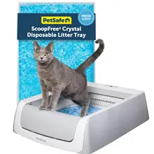 Product image of PetSafe ScoopFree Self-Cleaning Cat Litterbox