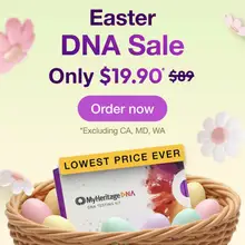 Product image of Your Ethnic Origins