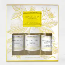 Product image of Meyer Lemon Kitchen Essentials Kit