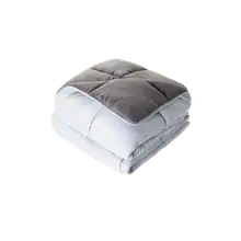 Product image of Linenspa All-Season Down Alternative Quilted Comforter