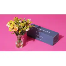 Product image of UrbanStems
