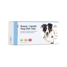 Product image of Basepaws Breed + Health Dog DNA Test