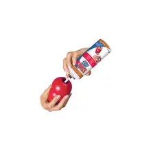 Product image of Kong Easy Treat Peanut Butter Can