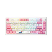 Product image of Akko MOD007B PC