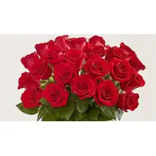 Product image of 1-800 Flowers Dazzle Her Day Roses