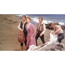 Product image of 'Swiss Family Robinson' (1960)