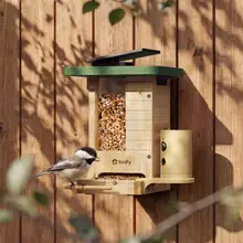 Product image of Birdfy’s shop