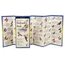 Product image of Sibley's Backyard Birds of the Northeast Folding Guide