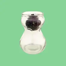Product image of CaribbeanGarden Hyacinth Forcing Clear Vase