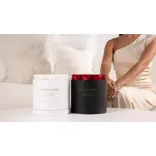 Product image of Home Diffusers