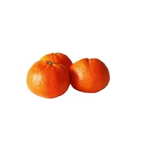 Product image of Clementines