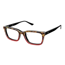 Product image of The Harvest Tortoise