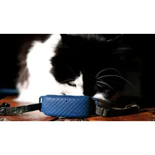 Product image of Tractive Cat GPS