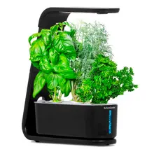 Product image of AeroGarden Sprout 