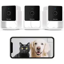 Product image of Petcube Pack of 3 Cam Indoor Wi-Fi Pet and Security Camera