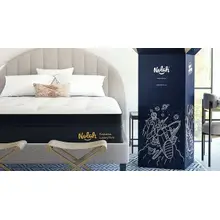 Product image of Nolah Evolution