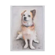 Product image of Custom Pet Portrait
