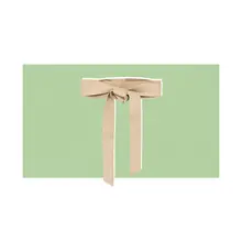 Product image of  B-Low The Belt Demi Wrap Belt