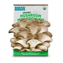 Product image of Back To The Roots Organic Mini Mushroom Grow Kit