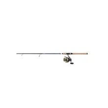 Product image of Daiwa BG4000 Spinning Combo