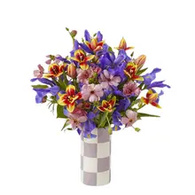 Product image of Iris