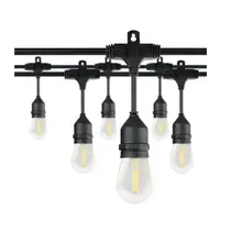 Product image of Honeywell 48-Foot Plug-in Black Indoor/Outdoor String Light with 15 White-Light LED Edison Bulbs