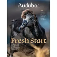 Product image of Membership to the Audubon Society
