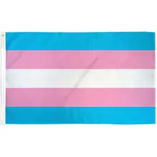 Product image of Transgender Pride Flag