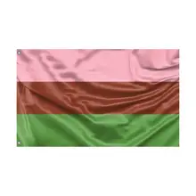 Product image of Gynosexual Pride Flag