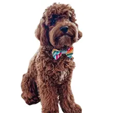 Product image of Youly Pride BowTie