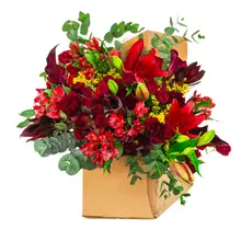 Product image of Red Velvetier 