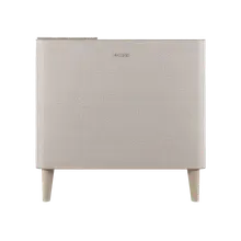 Product image of Coway Airmega Icon