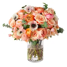 Product image of UrbanStems Double The Margot