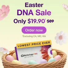 Product image of Your Ethnic Origins