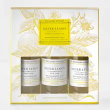 Product image of Meyer Lemon Kitchen Essentials Kit