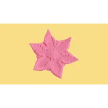 Product image of Cute Little F*ckers Starsi Vibrator