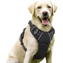 Product image of Rabbitgoo Dog Harness, No-Pull Pet Harness