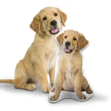 Product image of Custom Pet Pillow