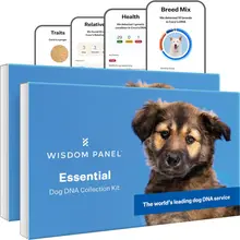Product image of Wisdom Panel Essential Dog DNA Kit