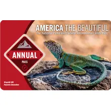 Product image of Annual National Park Pass