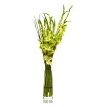 Product image of Soaring Elegance