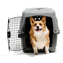 Product image of Petmate Sky Kennel