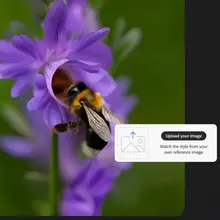 Product image of Generate Videos from Photos