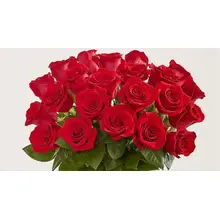 Product image of 1-800 Flowers Dazzle Her Day Roses