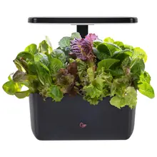 Product image of AeroGarden Harvest 2.0